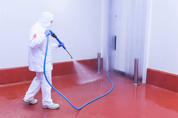 Best Soft Washing  in River Hills, WI